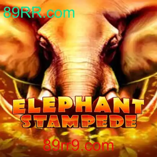 ElephantStampede: Uma Exploração do Emocionante Mundo dos Elefantes Selvagens